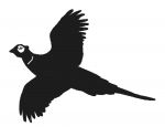 Large Flying Pheasant Weathervane or Sign Profile - Laser cut